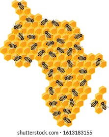Vector image of the outline of the continents and continents in the form of honeycombs. The concept of development in different areas within the country. Africa