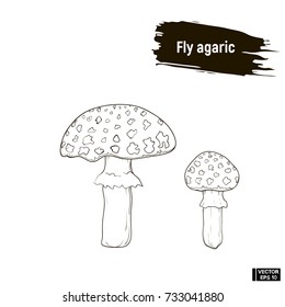 Vector image. Outline drawing of mushrooms. Fly agaric hand drawing sketch, imitation of ink.