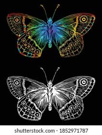 Vector image of outlines decorative butterfly