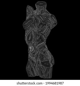 vector image outlines simple stripes drawings woman bust