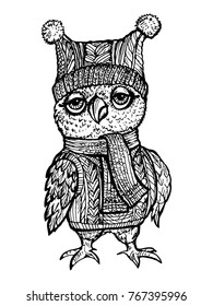 Vector image Owl in a knitted hat