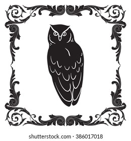 Vector image of an owl on white background
