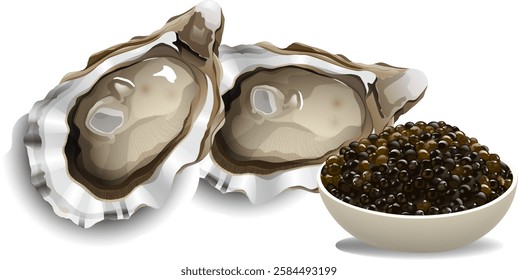 Vector image of oysters and caviar bowl