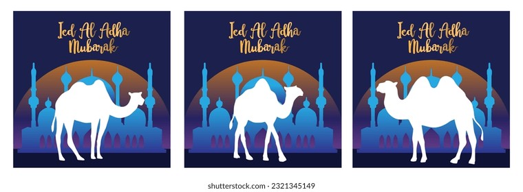 vector image package for Eid al-Adha in the form of a Camel in various poses