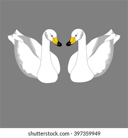 Vector image of a pair of beautiful, swan lovers.
