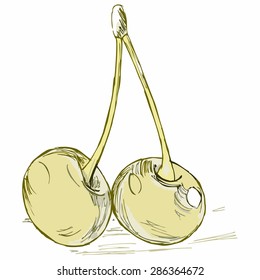 Vector image of a pair of cherries