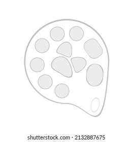 Vector image of a palette for paints