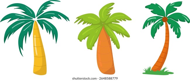 Vector image of a palm tree. Set of different palm trees.