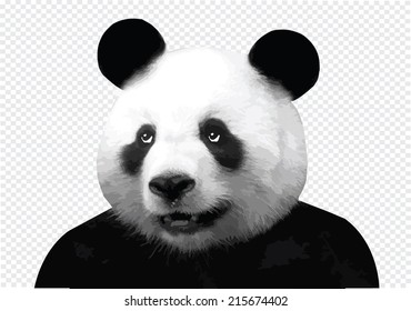 Vector image of panda