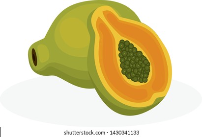 
Vector image of papaya. Exotic fruit on a white background.