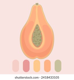 vector image of papaya fruit, color background image,