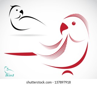 Vector image of an parrot on white background