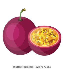 Imagen vectorial del fruto de la pasión. El concepto de una dieta saludable y un estilo de vida. Un producto maduro y delicioso. Un elemento luminoso para el diseño