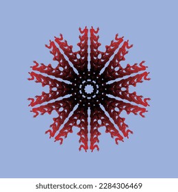 Vector image with patterns arranged radially