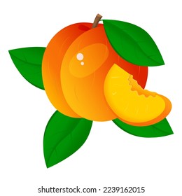 Vector image of a peach. The concept of healthy food and fresh fruit. Juicy fruits, peach snacks, vegetarian dishes.
