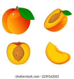 Vector image of a peach. The concept of healthy food and fresh fruit. Juicy fruits, peach snacks, vegetarian dishes.