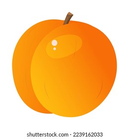 Vector image of a peach. The concept of healthy food and fresh fruit. Juicy fruits, peach snacks, vegetarian dishes.