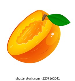 Vector image of a peach. The concept of healthy food and fresh fruit. Juicy fruits, peach snacks, vegetarian dishes.
