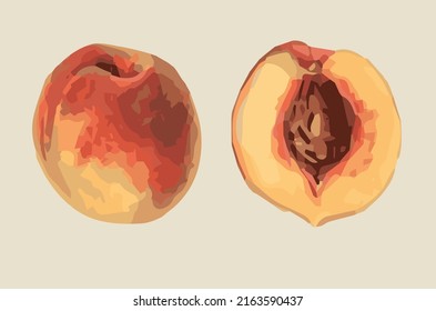 Vector image -peach option 1