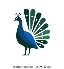 vector image of a peacock simple minimalist black background