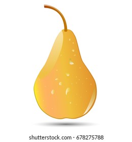 Vector image of pear.