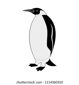 Vector image of the penguin silhouette