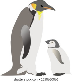 vector image of penguins