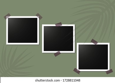 Vector image of photo frames, blank pictures. Blank templates of three photos on a green background. Stock Photo.