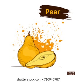 Vector image. Picture colors, orange and yellow pear. Sketch fruit hand drawing splashes and blots.