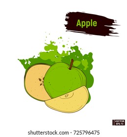 Vector image. Picture of the green apple sliced. Colored sketch ripe fruit hand drawing.