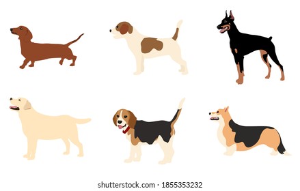 Vector image. The picture shows how the poses of dogs with the profile of different breeds, such as Labrador, Doberman, Corgi, Beagle, Jack Russell, are drawn by hand. Suitable for coloring book.