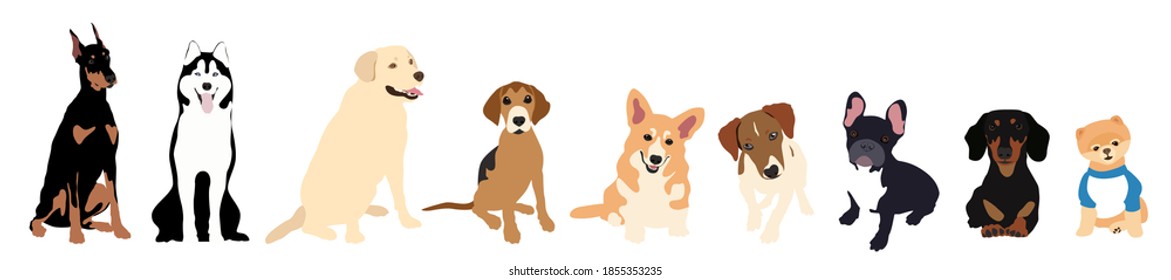 Vector image. The picture shows how dogs are drawn by hand with a seated pose of different breeds, such as Labrador Retriever, Pomeranian, Doberman, Corgi, Beagle, Jack Russell, French Bulldog, Husky.