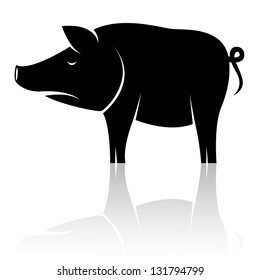 Vector image of an pig on white background
