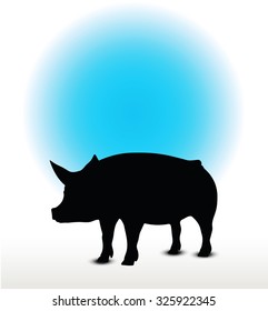 Vector Image, pig silhouette, in Curl Tail pose, isolated on white background