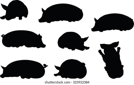 Vector Image, pig silhouette, in Lay pose, isolated on white background