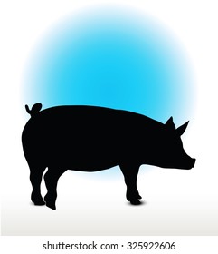 Vector Image, pig silhouette, in a standing position, isolated on white background
