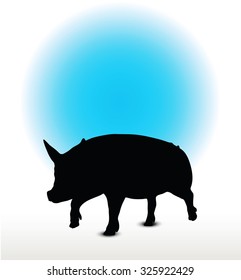 Vector Image, pig silhouette, in a trot position, isolated on white background
