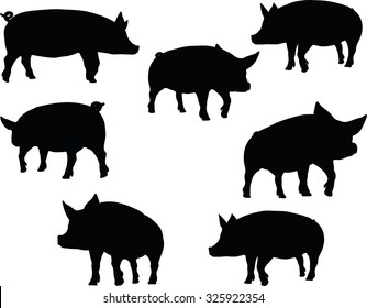 Vector Image, pig silhouette, in a walking position, isolated on white background
