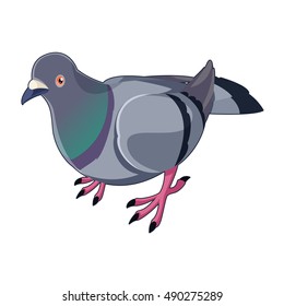 Vector image of a Pigeon isometric icon