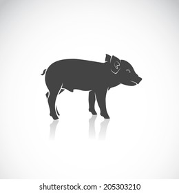 Vector image of a piglet on white background