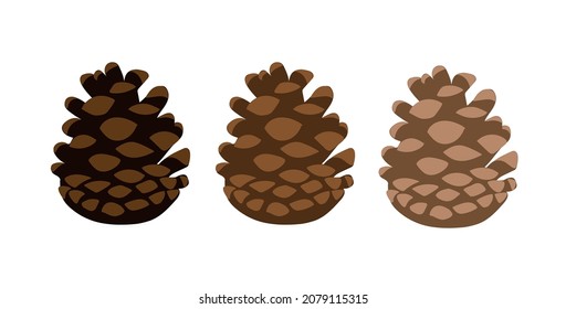 Vector image of a pine cone of different colors. Cedar cone