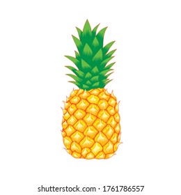 vector image of a pineapple