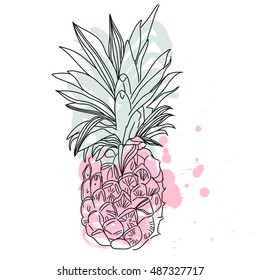 Vector Image of pineapple fruit exotic background. Print t-shirt, graphic element for your design. illustration.