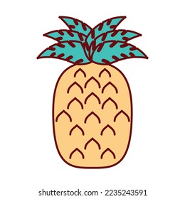 vector image pineapple icon with white background