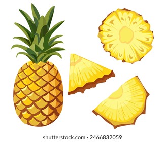 Vektorgrafik Bild von Ananas und Ananasscheiben auf isoliertem weißem Hintergrund. Zitrusfrüchte. Set von Symbolen Reife und leckeres Produkt.