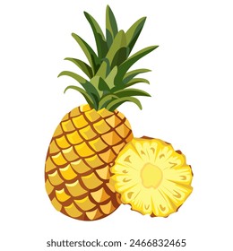 Vector image of pineapple and sliced pineapple slices on isolated white background. Citrus fruits. Set of icons Ripe and delicious product.
