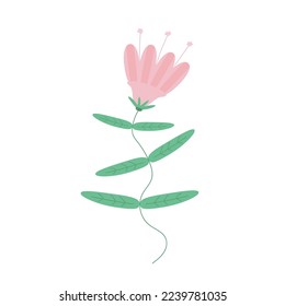 Vector image of a pink bell flower on a stem with leaves