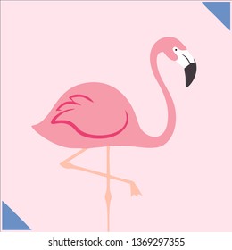Vector image of pink Flamingo on light pink background