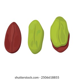 Vector image of pistachios. Concept of nuts. Element for your design. For banners, websites, advertising, etc.