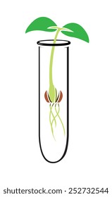 Vector image of a plant growing in a test tube
